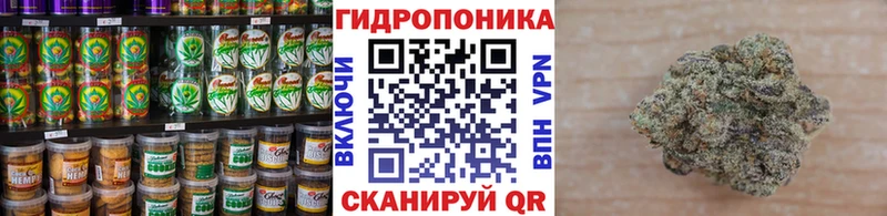 магазин продажи   Орск  Canna-Cookies конопля 